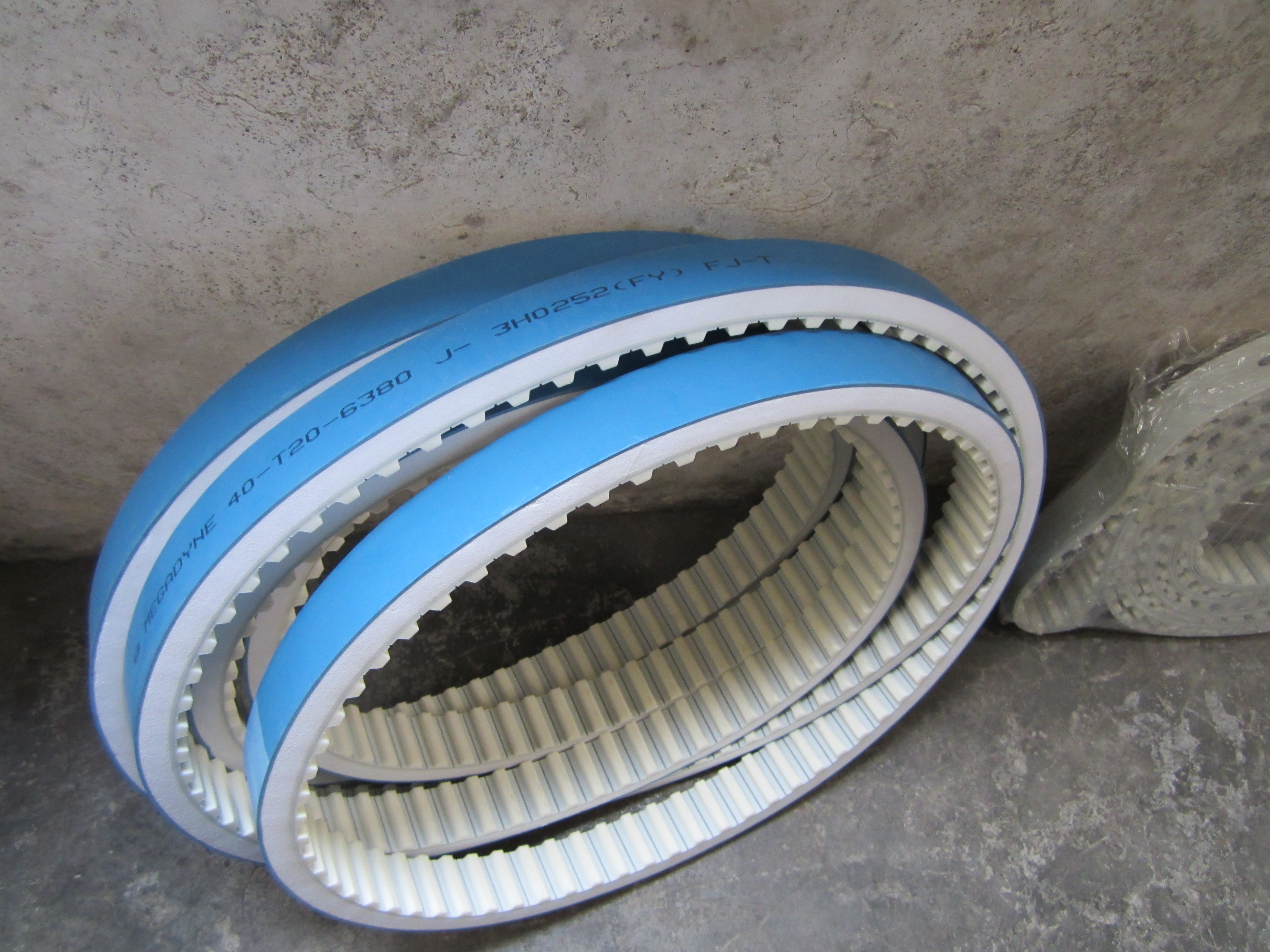 Bavelloni timing belt